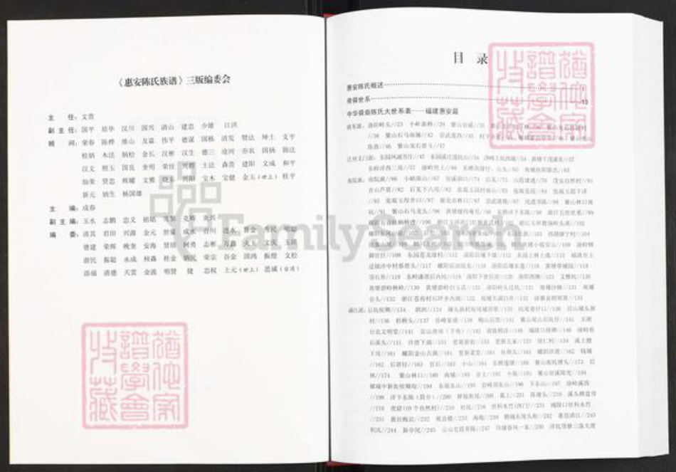 福建省泉州市惠安县陈氏德仁堂族谱-中华舜裔陈氏大世系表.惠安篇.pdf电子版插图2