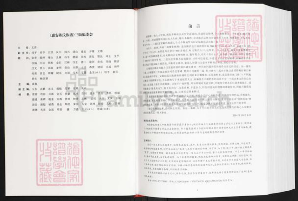福建省泉州市惠安县洛阳镇陈氏族谱-惠安陈氏族谱.pdf电子版插图2
