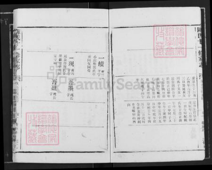 湖北省黄冈市蕲春县大同镇陈氏族谱-陈氏十一修家志.pdf电子版插图4 湖北省黄冈市蕲春县大同镇陈氏族谱-陈氏十一修家志.pdf电子版插图4