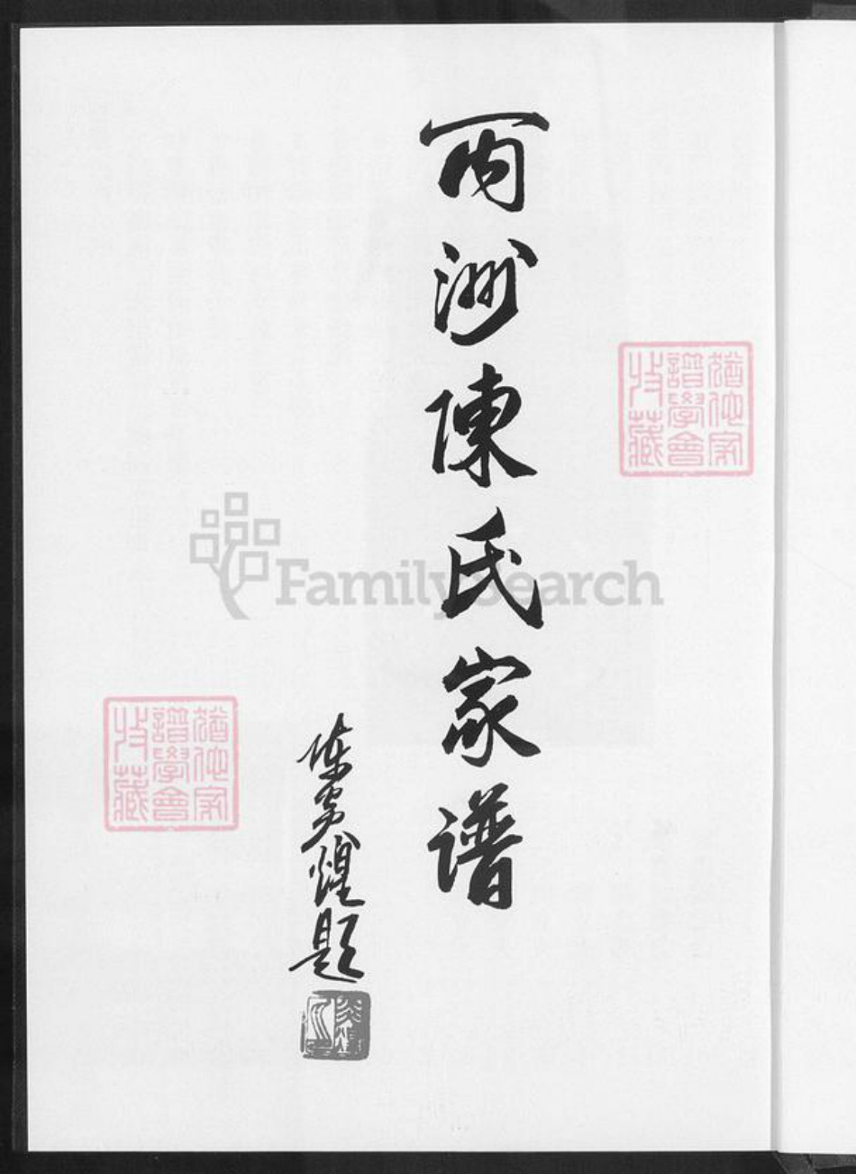 福建省厦门市同安区西柯镇陈氏族谱-丙洲陈氏家谱.pdf电子版插图2