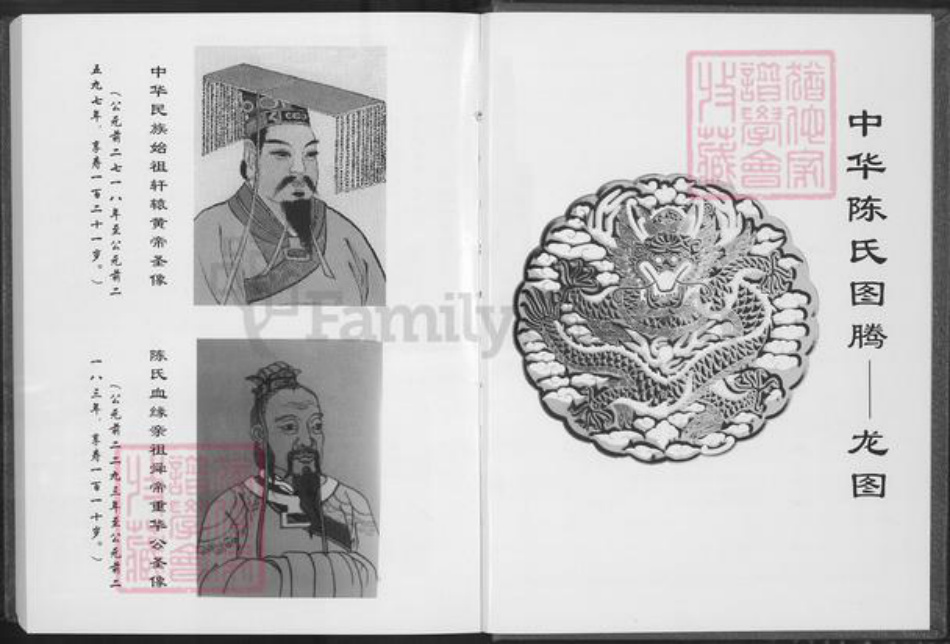 福建省泉州市安溪县龙门镇陈氏德星堂族谱-笋山陈氏族谱.仲逊公支派.pdf电子版插图2