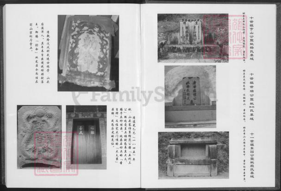 福建省泉州市安溪县龙门镇陈氏德星堂族谱-笋山陈氏族谱.仲逊公支派.pdf电子版插图5