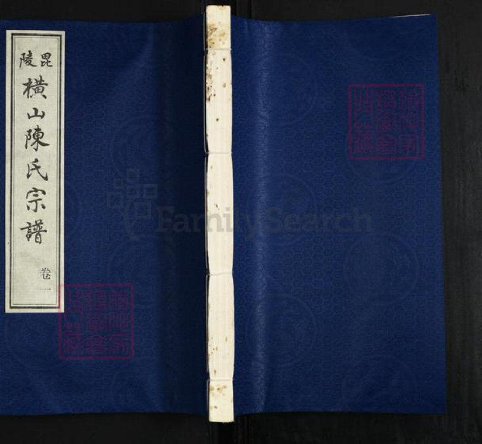 江苏省常州市武进县横林镇陈氏星聚堂族谱-毘陵横山陈氏宗谱.pdf电子版插图
