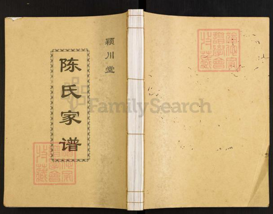 湖南省常德市桃源县陈氏颍川堂族谱-陈氏家谱.pdf电子版插图