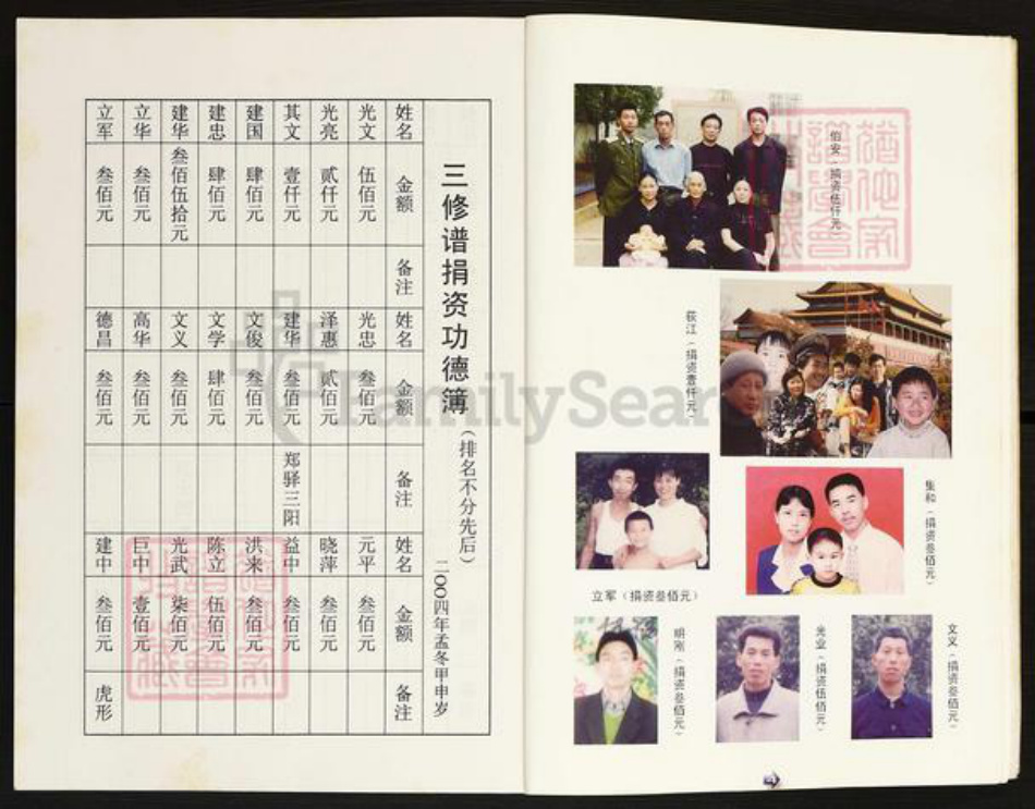 湖南省常德市桃源县陈氏颍川堂族谱-陈氏家谱.pdf电子版插图5