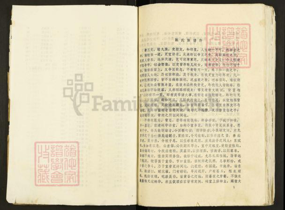 江苏省宿迁市泗阳县众兴镇陈氏泗淮堂族谱-陈氏族谱.pdf电子版插图4