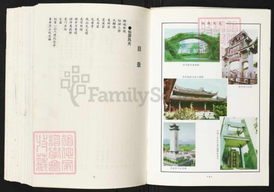 福建省莆田市仙游县陈氏族谱-仙游陈氏大族谱.pdf电子版插图5