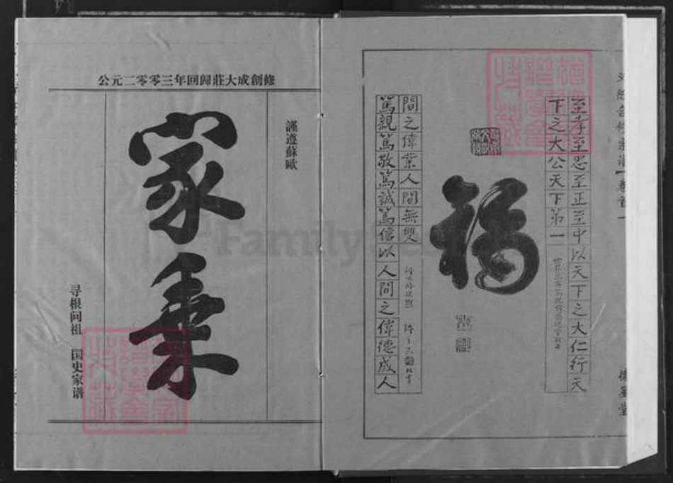 湖北省黄冈市团风县陈氏德星堂族谱-义门陈氏回归庄大成宗谱.pdf电子版插图2
