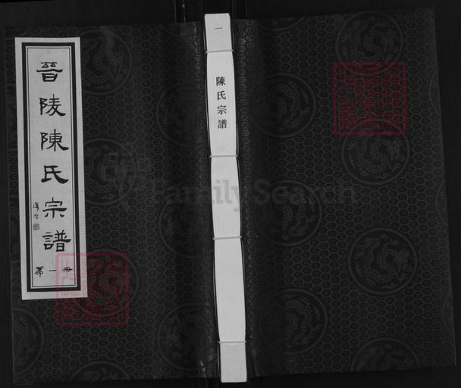 江苏省常州市武进县陈氏星聚堂族谱-晋陵陈氏宗谱.pdf电子版插图