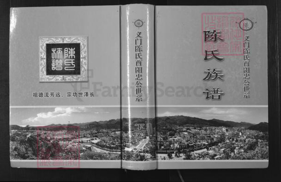 重庆市荣昌区铜鼓镇陈氏族谱-陈氏族谱.义门陈氏酉阳忠公世系.pdf电子版插图