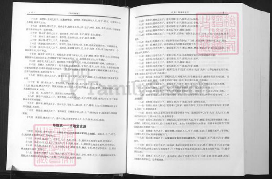 重庆市荣昌区铜鼓镇陈氏族谱-陈氏族谱.义门陈氏酉阳忠公世系.pdf电子版插图5
