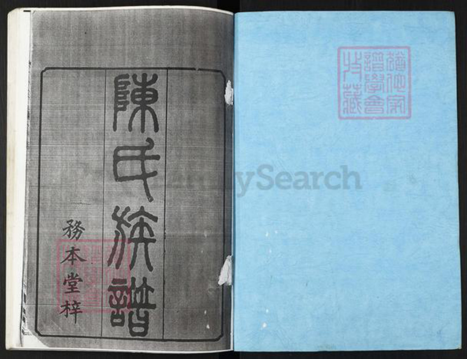 江西省抚州市临川区陈氏颖川堂族谱-陈氏族谱.pdf电子版插图1