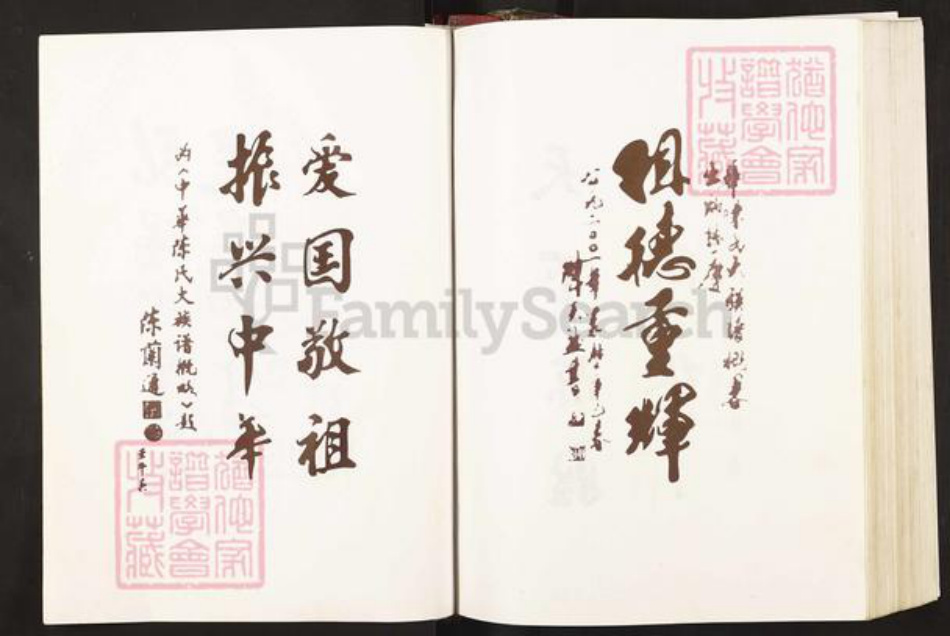 湖北省黄石市阳新县洋港镇陈氏永思堂族谱-义门果石庄大成宗谱.pdf电子版插图5