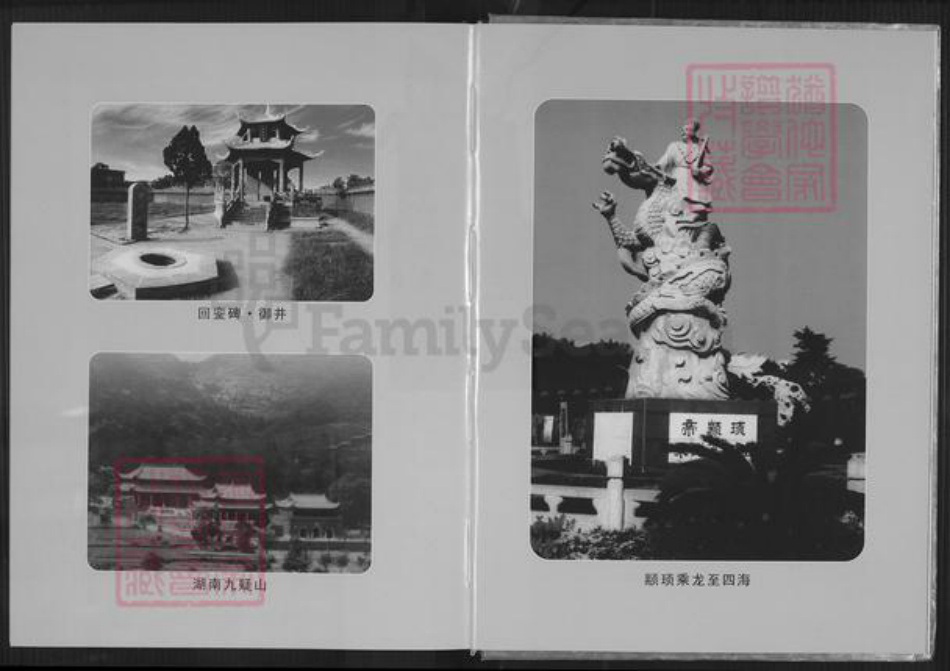 福建省厦门市思明区陈氏务本堂族谱-榄都陈氏族谱.pdf电子版插图5