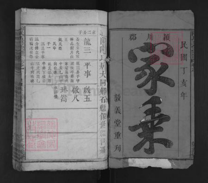 湖南省邵阳市隆回县沅江陈氏族谱-陈氏五修宗谱 [13卷].pdf电子版插图1