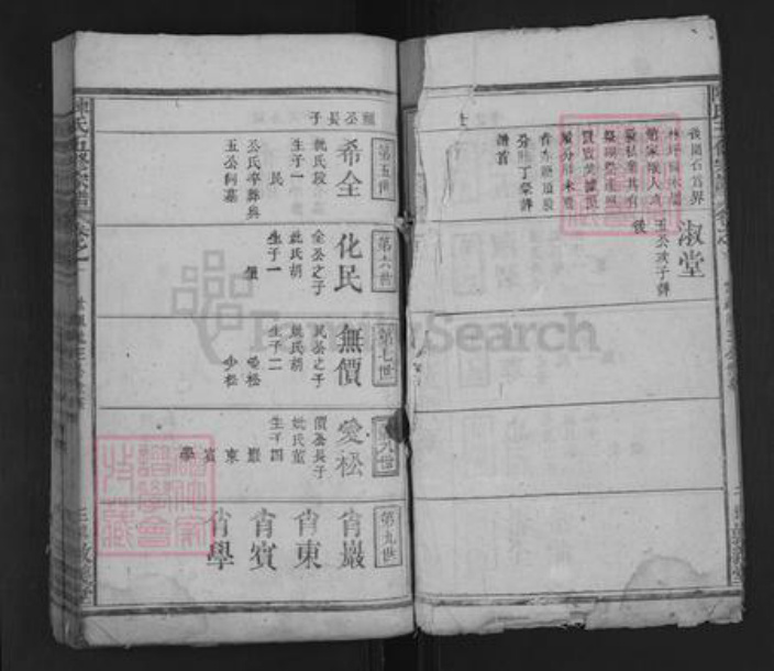 湖南省邵阳市隆回县沅江陈氏族谱-陈氏五修宗谱 [13卷].pdf电子版插图3
