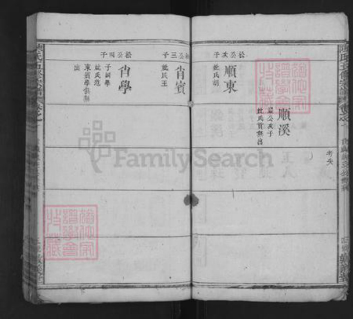 湖南省邵阳市隆回县沅江陈氏族谱-陈氏五修宗谱 [13卷].pdf电子版插图5