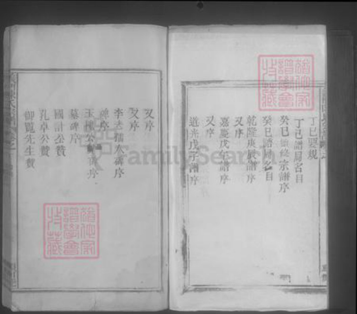 江西省九江市德安县陈氏族谱-义门陈氏宗谱 [8卷].pdf电子版插图3