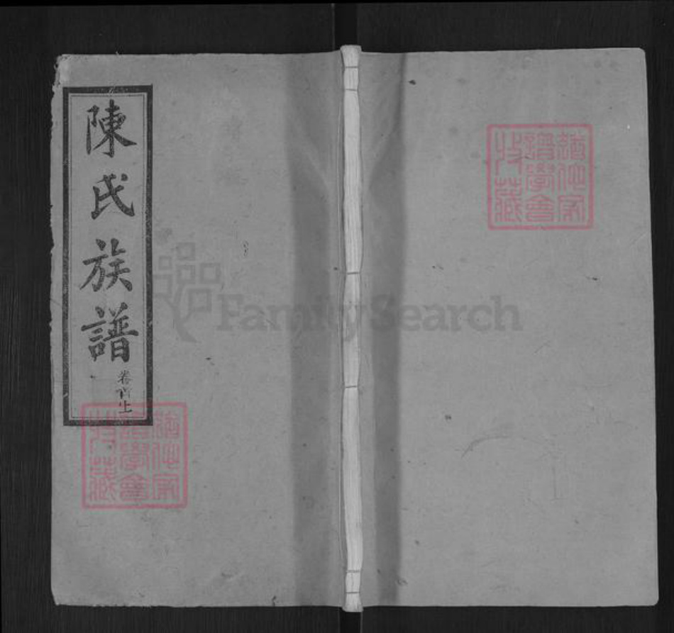 湖南省岳阳市湘阴县陈氏族谱-陈氏族谱.pdf电子版插图