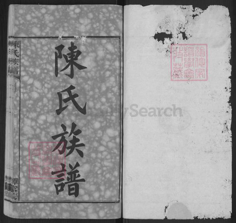湖南省岳阳市湘阴县陈氏族谱-陈氏族谱.pdf电子版插图1