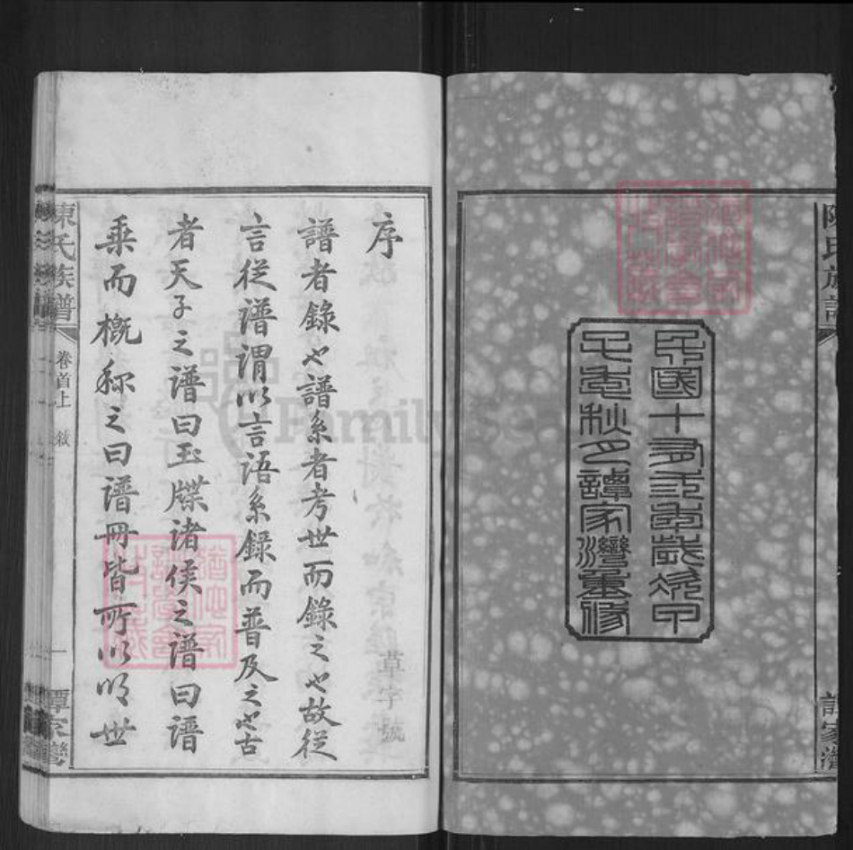 湖南省岳阳市湘阴县陈氏族谱-陈氏族谱.pdf电子版插图2
