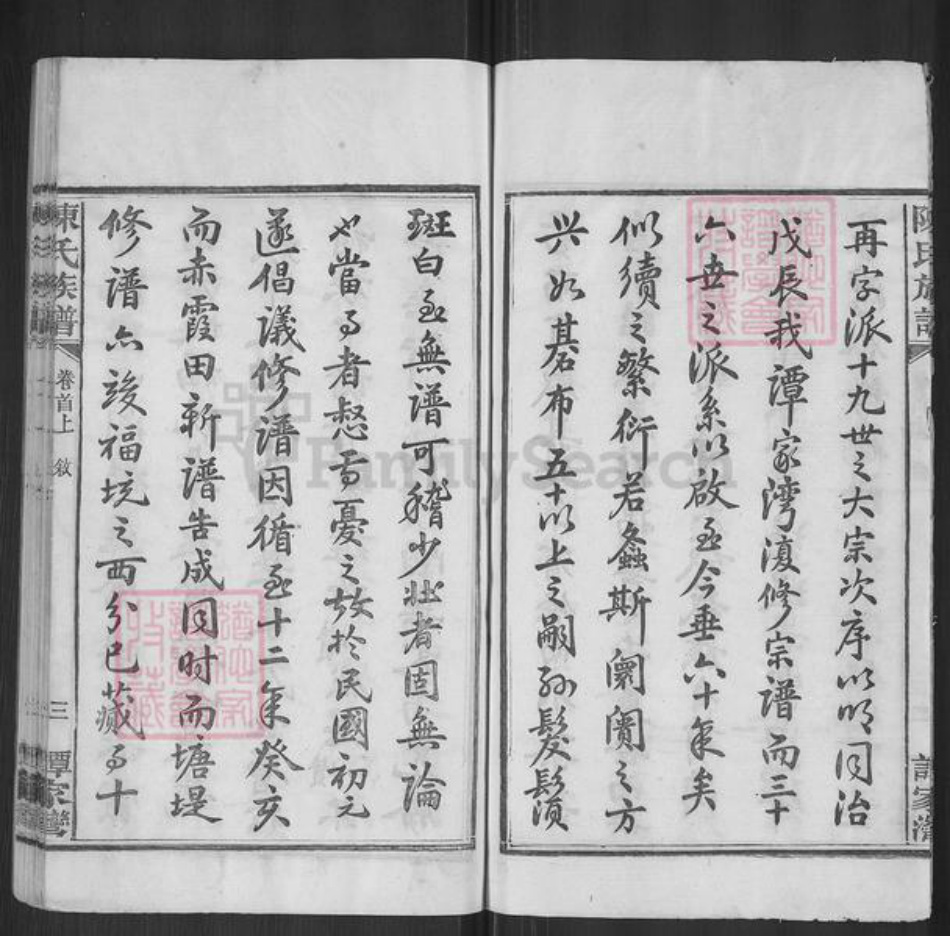 湖南省岳阳市湘阴县陈氏族谱-陈氏族谱.pdf电子版插图4