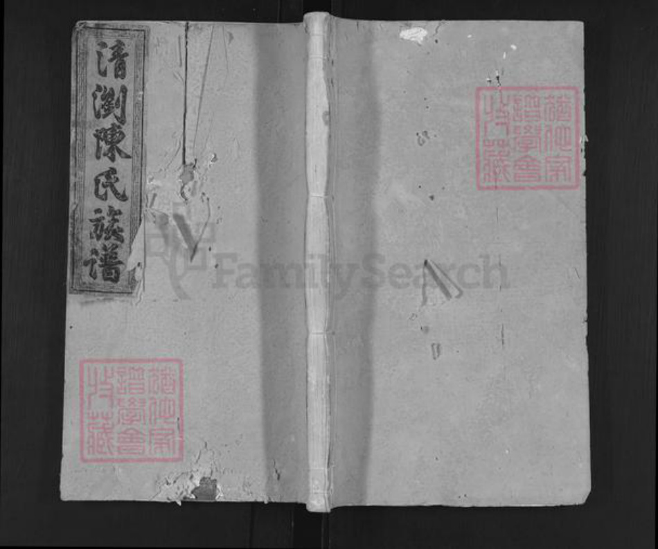 湖南省长沙市浏阳市沙市镇陈氏德星堂族谱-清浏陈氏族谱.pdf电子版插图