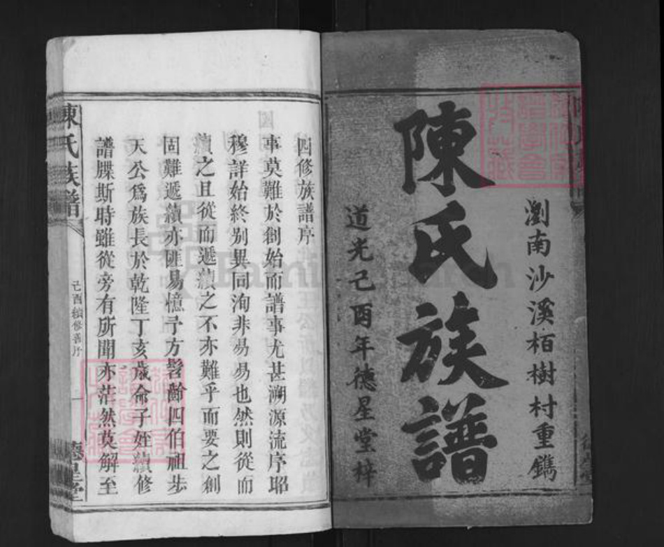 湖南省长沙市浏阳市沙市镇陈氏德星堂族谱-清浏陈氏族谱.pdf电子版插图1