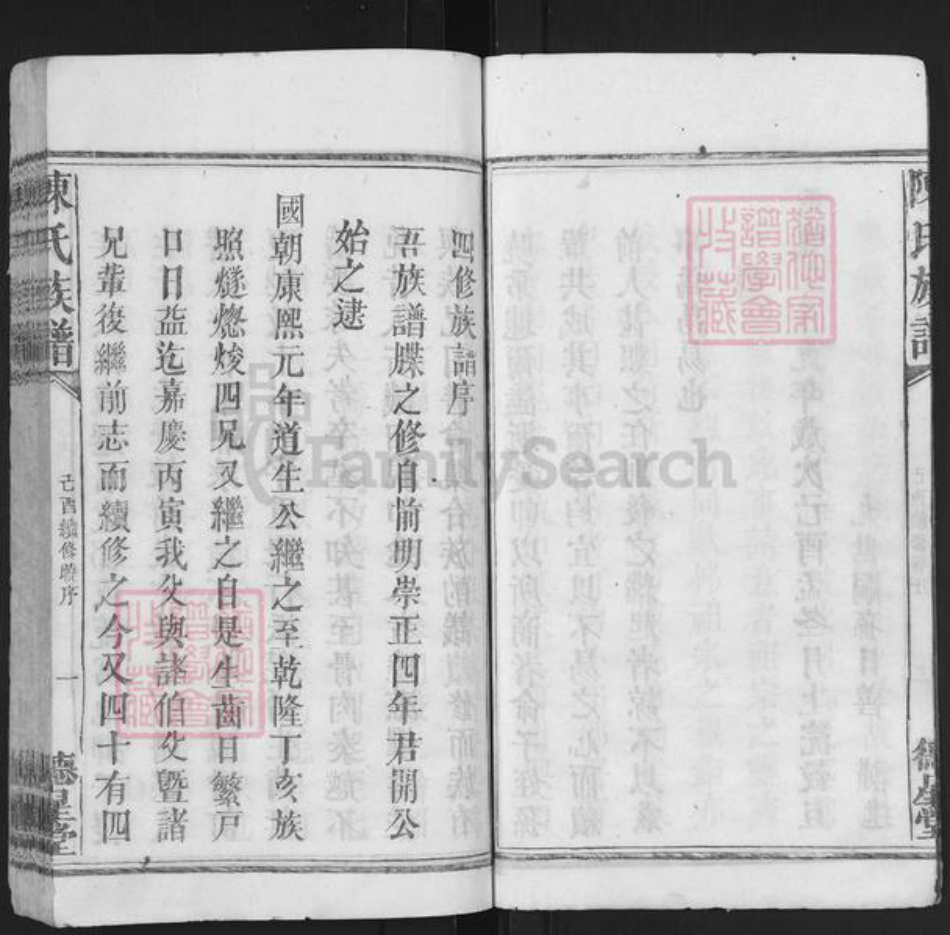 湖南省长沙市浏阳市沙市镇陈氏德星堂族谱-清浏陈氏族谱.pdf电子版插图4