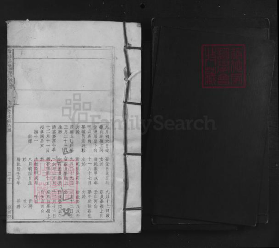 江西省赣州市于都县陈氏族谱-雩阳马岭陈氏族谱.pdf电子版插图1