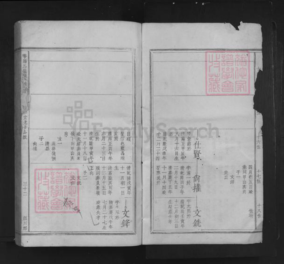 江西省赣州市于都县陈氏族谱-雩阳马岭陈氏族谱.pdf电子版插图2