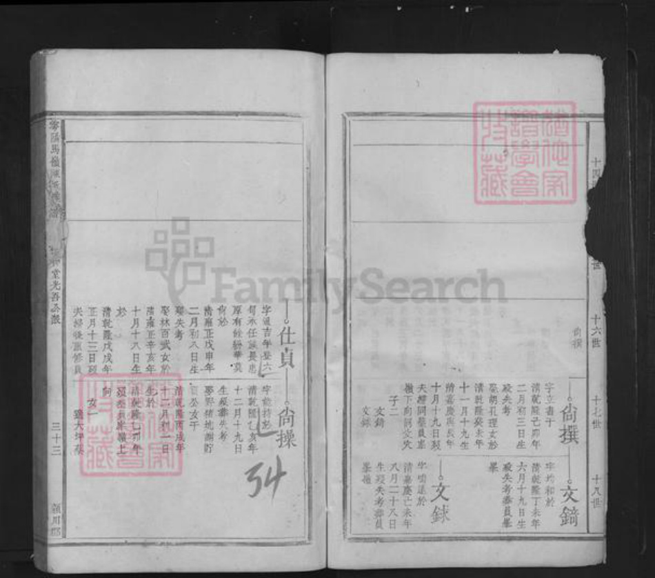 江西省赣州市于都县陈氏族谱-雩阳马岭陈氏族谱.pdf电子版插图3