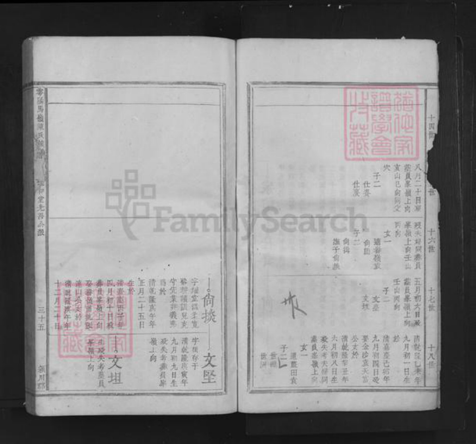 江西省赣州市于都县陈氏族谱-雩阳马岭陈氏族谱.pdf电子版插图5