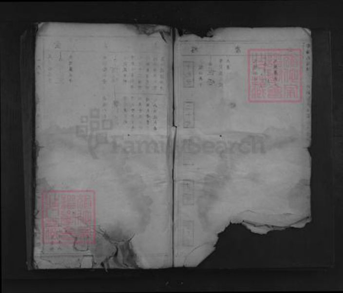 江西省赣州市于都县陈氏仁和堂族谱-雩阳马岭陈氏七修族谱.pdf电子版插图2