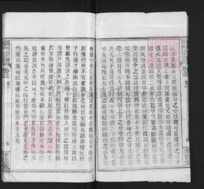 湖北省黄冈市蕲春县横车镇陈氏孝义堂族谱-义门陈氏宗谱.pdf电子版插图5