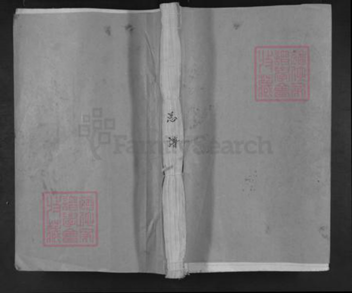 江西省九江市德安县车桥镇陈氏族谱-平西陈氏族谱.pdf电子版插图