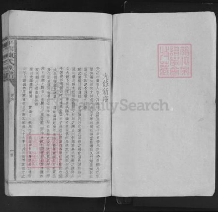 江西省九江市德安县车桥镇陈氏族谱-平西陈氏族谱.pdf电子版插图1