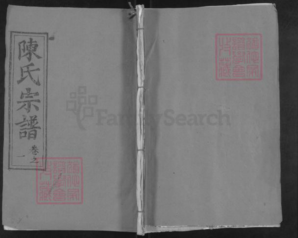 湖北省武汉市新洲区陈氏光裕堂族谱-陈氏宗谱.pdf电子版插图