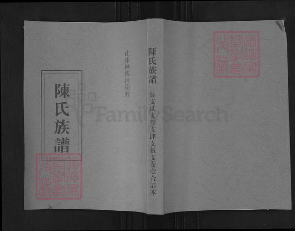 山东省烟台市招远市陈氏族谱-陈氏族谱.pdf电子版插图