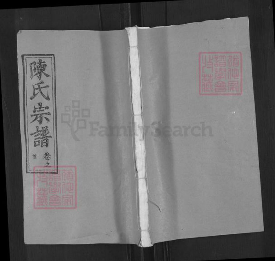 湖北省武汉市新洲区陈氏德星堂族谱-陈氏宗谱.pdf电子版插图