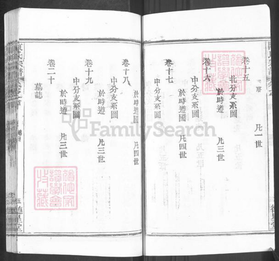 湖北省武汉市新洲区陈氏德星堂族谱-陈氏宗谱.pdf电子版插图5