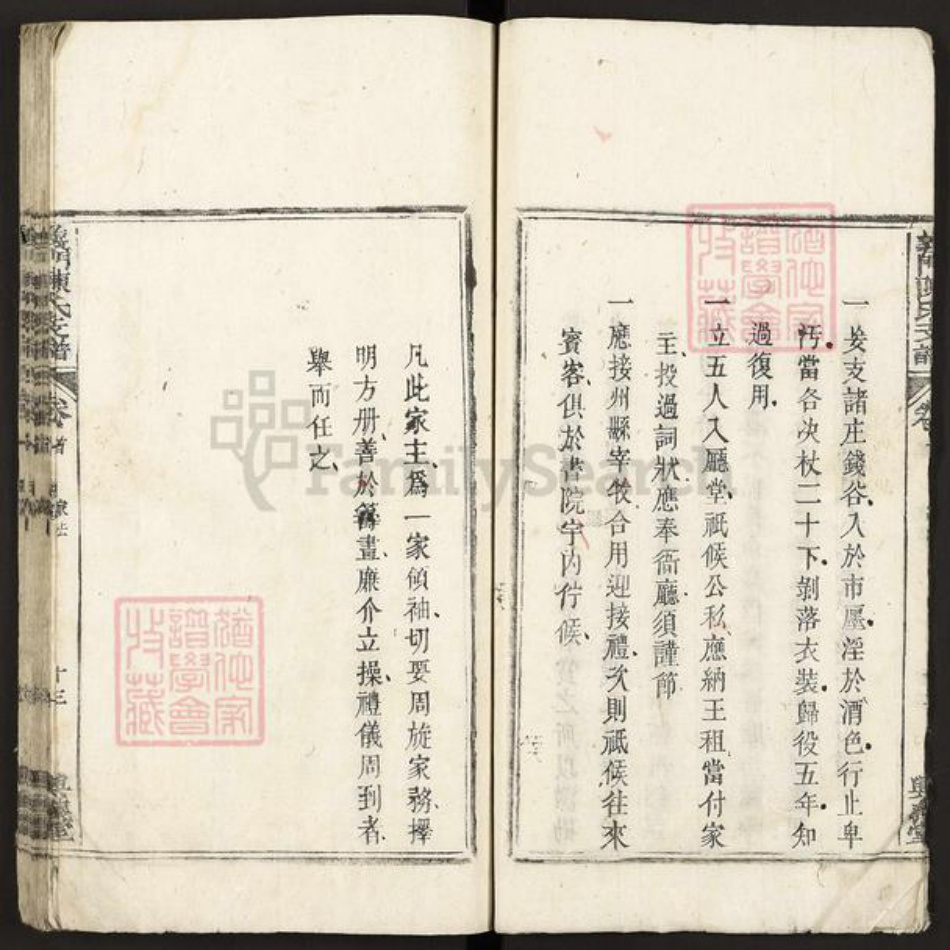 江西省九江市德安县车桥镇陈氏兴义堂族谱-义门陈氏支谱.pdf电子版插图3