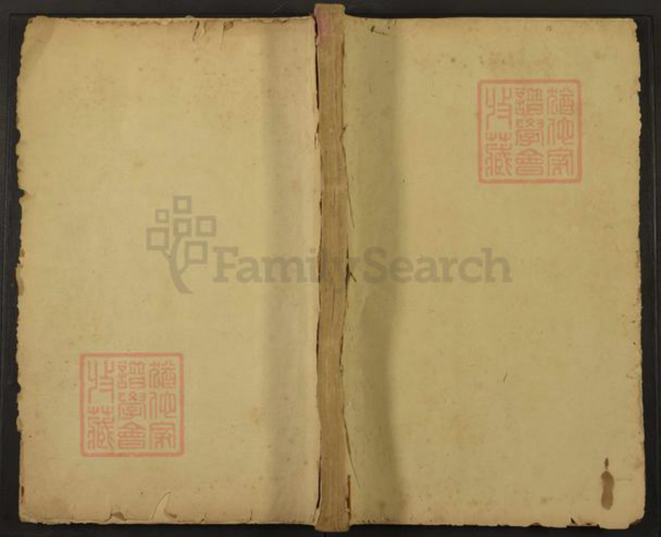 湖南省湘潭市湘乡市湘乡陈氏德星堂族谱-湘上陈氏族谱.pdf电子版插图