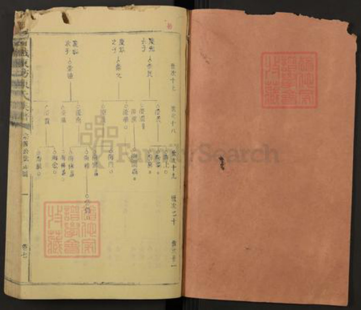 江西省赣州市石城县陈氏族谱-石城陈坊陈氏族谱.pdf电子版插图1