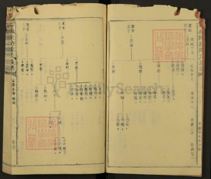 江西省赣州市石城县陈氏族谱-石城陈坊陈氏族谱.pdf电子版插图3