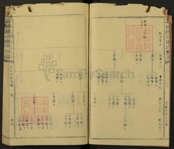 江西省赣州市石城县陈氏族谱-石城陈坊陈氏族谱.pdf电子版插图4