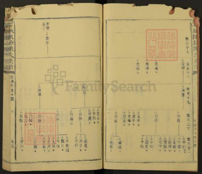 江西省赣州市石城县陈氏族谱-石城陈坊陈氏族谱.pdf电子版插图5