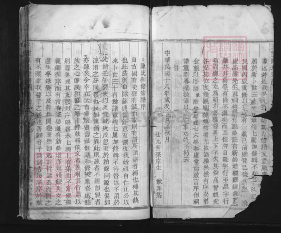 浙江省丽水市缙云县舒洪镇陈氏族谱-五云陈氏宗谱.pdf电子版插图2