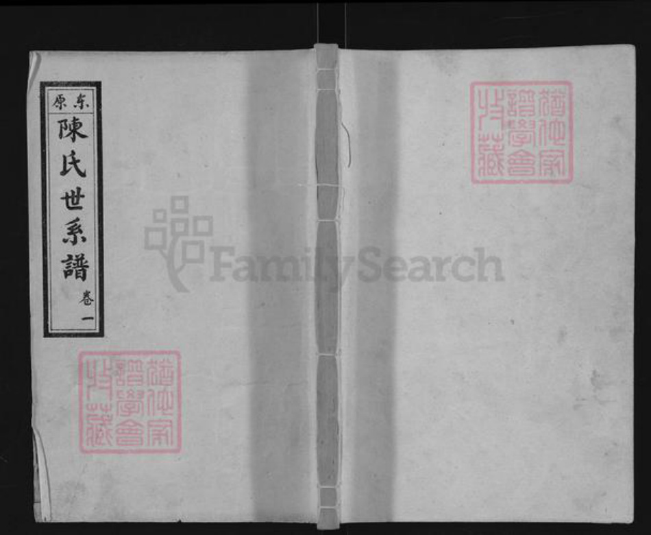 山东省泰安市东平县陈氏族谱-东原陈氏世系谱.pdf电子版插图