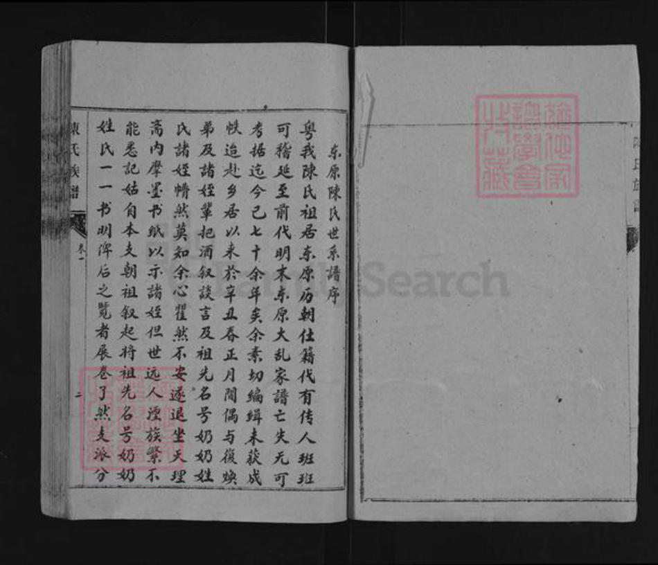 山东省泰安市东平县陈氏族谱-东原陈氏世系谱.pdf电子版插图2